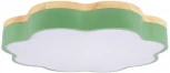Потолочный светильник светодиодный для детской Loft It Axel 10225/36 Green (220V, тучи)