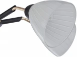 Потолочная люстра на штанге Arte Milano Napoli 324108/5 BK+FG (220V)