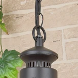 Уличный светильник подвесной Elektrostandard Talli черный GL 3002H (220V, на цепи, IP44)