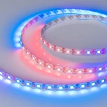 Светодиодная лента SPI-B60-10mm 12V RGB-PX1-RAM (9.3 W/m, IP20, 5060, 5m) (Arlight, бегущий огонь) 033437 SPI открытая