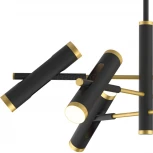 Подвесная люстра Favourite Duplex 2324-12P