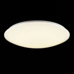 Потолочный светильник круглый Freya Gloria FR6999-CL-45-W (LED, 220V)