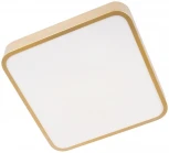 Потолочные светильники Loft It Flims 10228/C (LED, 220V)