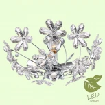 Потолочная люстра Lussole Lgo Phoenix GRLSP-0185 (220V, цветы, IP21)