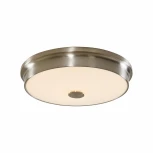 Потолочный светильник Citilux Фостер-2 CL706231