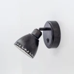 Спот Citilux Робуста CL509512