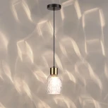 Подвесной светильник Lumion Ice 6562/1A черный, золотой/прозрачный/металл/стекло E27 1*40W 220V (на проводе, круглые)