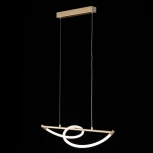 Подвесной светильник с гибким неоном Citilux Eva CL210112 (LED, 220V, на проводе)