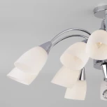 Потолочная люстра Eurosvet Ellene 30149 хром