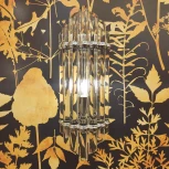 Настенный светильник Cloyd Harp 20149 (220V)