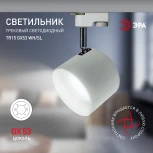 Трековый светильник ЭРА TR15 GX53 WH/SL (220V)