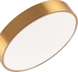 Потолочный светильник светодиодный Zortes Tortty ZRS.02566.48