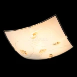 Настенно-потолочный светильник Globo Taveuni 40393 (220V)