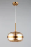 Подвесной светильник Aployt Gabriela APL.305.16.01 (220V, на проводе, шар)