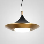 Подвесной светильник Rask ImperiumLoft Rask01 (151756-26) (LED, 220V, на тросе)