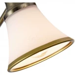 Спот Freya Jasinta FR2272-CW-03-BS