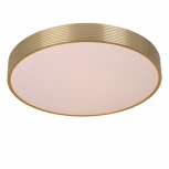 Потолочный светильник круглый светодиодный диммируемый Malin 79184/24/02 (220V, круглые)