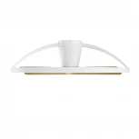 Потолочная светодиодная люстра с вентилятором и пультом Mantra Nepal 9045