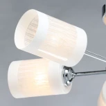 Потолочная люстра MW-Light Олимпия 106010506