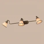 Спот на штанге Citilux Прованс CL511533 (220V, круглые)