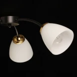 Потолочная люстра De City Нежность 676016903