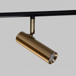 Спот на штанге Eurosvet Barre 20252/6 LED черный/латунь (220V, пульт управления)