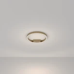 Потолочный светильник круглый Maytoni Rim MOD058CL-L25BSK (LED, 220V, кольцо)