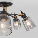 Потолочная люстра на штанге Eurosvet Astor 70111/5 черный (220V)