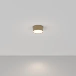 Потолочный светильник круглый Maytoni Zon C032CL-12W4K-RD-MG (LED, 220V, круглые)