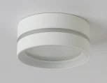 Потолочный светильник круглый Ambrella TECHNO SPOT TN5388 (220V, круглые, IP44)
