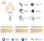Умная лампочка светодиодная Gauss Smart Home 1100112