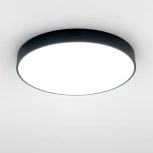 Потолочный светильник RGB круглый светодиодный с пультом Купер CL72495G1 (220V, круглые)