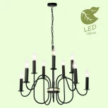Подвесная люстра Lussole Lgo Roosevelt GRLSP-8198 (220V, на цепи, свеча, IP21)