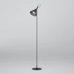 Торшер Eurosvet Enigma 01187/1