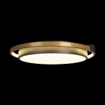 Потолочный светильник Mike 10170