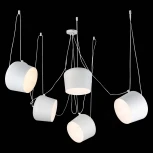 Подвесной светильник Evoluce Trieste SLE120653-05 (220V)