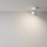 Накладной потолочный светильник Maytoni Onda C024CL-12W4K-W-1 (LED, 220V, круглые)