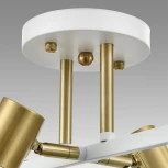 Потолочная люстра на штанге Lumion Anriya 8045/6C белый, латунь/белый металл/металл Е14 6*40W 220V
