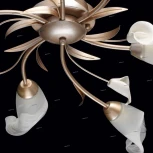 Потолочная люстра MW-Light Восторг 242016306