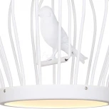 Подвесной светильник Favourite Chick 1931-2P (LED, 220V, на цепи, птички, клетка)