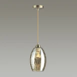 Подвесной светильник Lumion Sapphire 4489/1 (220V, на проводе)