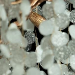 Подвесная люстра Loft IT Fairytree 10066/600 GB (220V, на тросе, ветки)