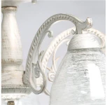 Потолочная люстра MW-Light Ариадна 105010205