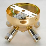 Потолочная люстра Loft Davie LSP-8781 (220V, ветки, IP21)