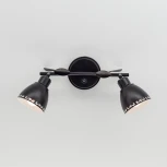 Спот Citilux Робуста CL509522