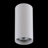 Накладной точечный светильник Lightstar Rullo 214486 (220V)