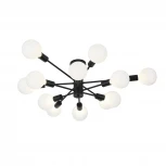 Потолочная люстра ST Luce Ano SL419.402.12