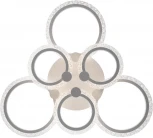 Потолочная люстра Freya Saida FR10016CL-L73W