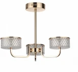 Потолочная люстра на штанге Lumion Venice 6579/40CL золото/прозрачный/металл/пластик LED 40W 220V