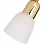 Спот Escada Debora 5039/1PA (220V, круглые)